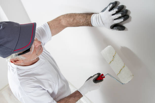 Best Biohazard Mold Removal  in Sackets Harbor, NY