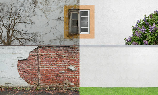 Trusted Sackets Harbor, NY Mold Removal Experts
